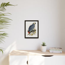 Grey Parrot (Psittacus erithacus) colored wood-engraved plate by Alexander Francis Lydon.