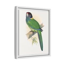 Lydon's Yellow-Naped Parrakeet | Vintage Bird Wall Art Print
