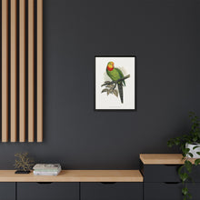 Barraband's Parakeet (Polytelis swainsonii) colored wood-engraved plate by Alexander Francis Lydon