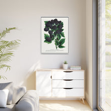 Wachusett Blackberry Lithograph | Vintage Botanical Wall Art
