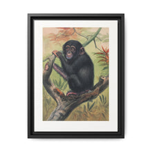 The Chimpanzee from Zoological sketches (1861-1867) by Joseph Wolf and Philip Lutley Sclater. - NOMADEN ART GALLERY