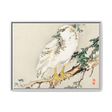 Northern mockingbird by Kōno Bairei (1844-1895) - NOMADEN ART GALLERY