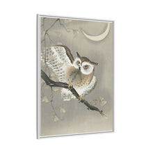 Long-eared owl in ginkgo (1900 - 1930) by Ohara Koson