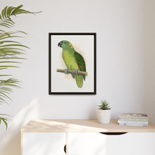 Lydon's Yellow-Naped Amazon | Vintage Parrot Wall Art Print