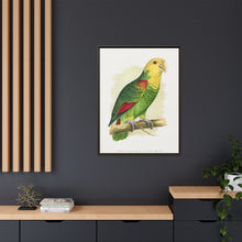 Double-Fronted or Le Vaillant's Amazon (Amazona oratrix) colored wood-engraved plate by Alexander Francis Lydon.