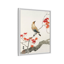 Japanese plague bird on maple (1900 - 1936) by Ohara Koson