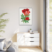 Trumpet flower lithograph. Digitally enhanced from our own original 1900 edition plates of Botanical Specimen published by Rochester Lithographing