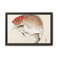 Tai (Red Seabream) fish by Kōno Bairei - NOMADEN ART GALLERY