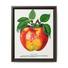 Wolf River apple lithograph. Digitally enhanced from our own original 1900 edition plates of Botanical Specimen published by Rochester Lithographing - NOMADEN ART GALLERY