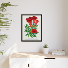 Trumpet flower lithograph. Digitally enhanced from our own original 1900 edition plates of Botanical Specimen published by Rochester Lithographing