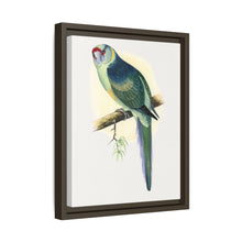 Barnard's Parrakeet (Barnardius barnardi) colored wood-engraved plate by Alexander Francis Lydon