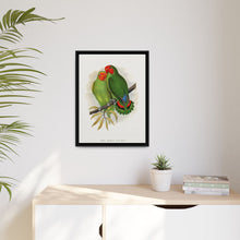 Lydon's West African Love-Bird | Vintage Avian Wall Art Print