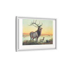 The Wapiti from Zoological sketches (1861-1867) by Joseph Wolf and Philip Lutley Sclater