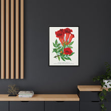 Trumpet flower lithograph. Digitally enhanced from our own original 1900 edition plates of Botanical Specimen published by Rochester Lithographing