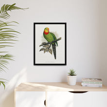 Barraband's Parakeet (Polytelis swainsonii) colored wood-engraved plate by Alexander Francis Lydon