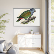 Red-Vented Parrot (Amazona martinicana) colored wood-engraved plate by Alexander Francis Lydon