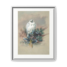 The Greenland Falcon from Zoological sketches (1861-1867) by Joseph Wolf and Philip Lutley Sclater - NOMADEN ART GALLERY