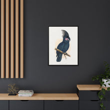 Great Black Cockatoo (Probosciger aterrimus) colored wood-engraved plate by Alexander Francis Lydon