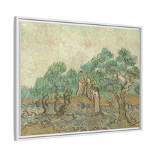 Vincent van Gogh's The Olive Orchard (1889) - NOMADEN ART GALLERY