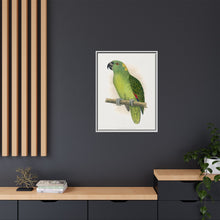 Lydon's Yellow-Naped Amazon | Vintage Parrot Wall Art Print