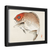 Tai (Red Seabream) fish by Kōno Bairei