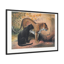 The Leopard from Zoological sketches (1861-1867) by Joseph Wolf and Philip Lutley Sclater