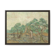 Vincent van Gogh's The Olive Orchard (1889) - Historical Art Canvas Print - NOMADEN ART GALLERY