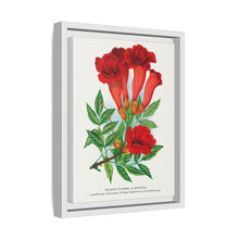 Trumpet flower lithograph. Digitally enhanced from our own original 1900 edition plates of Botanical Specimen published by Rochester Lithographing