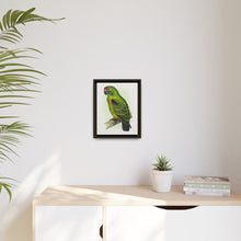 Placa grabada en madera de color loro de Jardine (Poicephalus gulielmi gulielmi) de Alexander Francis Lydon. 