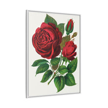 Red Rose, Prince Camille De Rohan Lithograph