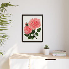 Pink Rose, La France Lithograph (1900)