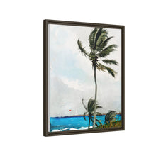 Palm Tree, Nassau (1898) by Winslow Homer