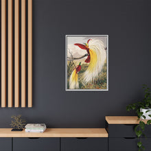 Birds of Paradise: Vintage Natural History Art by Benjamin Fawcett (1808 - 1893)