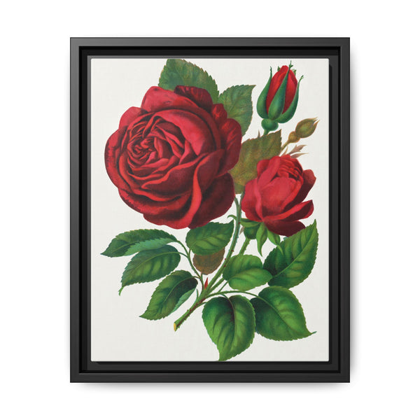 Red Rose, Prince Camille De Rohan Lithograph - NOMADEN ART GALLERY