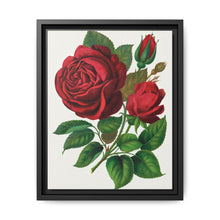 Red Rose, Prince Camille De Rohan Lithograph - NOMADEN ART GALLERY