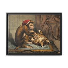 A monkey physician examining a cat patient for fleas. Coloured lithograph - NOMADEN ART GALLERY