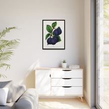 Niagara plum lithograph. Digitally enhanced from our own original 1900 edition plates of Botanical Specimen published by Rochester Lithographing