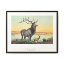 The Wapiti from Zoological sketches (1861-1867) by Joseph Wolf and Philip Lutley Sclater - NOMADEN ART GALLERY