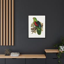 Red-winged parakeet (Aprosmictus erythropterus) colored wood-engraved plate by Alexander Francis Lydon