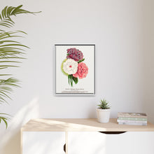 Double Althea in 3 colors lithograph. Digitally enhanced from our own original 1900 edition plates of Botanical Specimen published by Rochester Lithographing