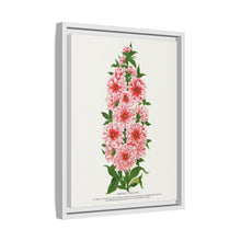 Prunus Triloba flower lithograph. Digitally enhanced from our own original 1900 edition plates of Botanical Specimen published by Rochester Lithographing