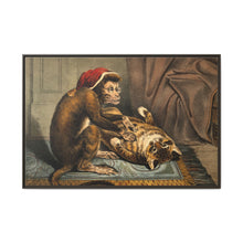 A monkey physician examining a cat patient for fleas. Coloured lithograph - NOMADEN ART GALLERY