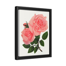 Pink Rose, La France Lithograph (1900) - NOMADEN ART GALLERY