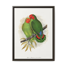 West African Love-Bird (Agapornis) colored wood-engraved plate by Alexander Francis Lydon. - NOMADEN ART GALLERY