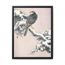 Goshawk on Snow-covered Pine Bough by Ohara Koson (1877–1945) - NOMADEN ART GALLERY