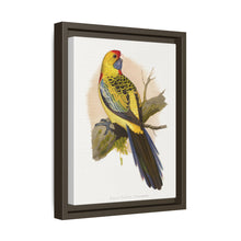 Lydon's Yellow-Rumped Parrakeet | Vintage Bird Wall Art Print