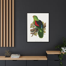Red-winged parakeet (Aprosmictus erythropterus) colored wood-engraved plate by Alexander Francis Lydon