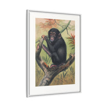The Chimpanzee from Zoological sketches (1861-1867) by Joseph Wolf and Philip Lutley Sclater.