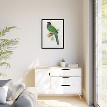 Lydon's Yellow-Naped Parrakeet | Vintage Bird Wall Art Print