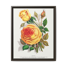 lithograph from Botanical Specimen published by Rochester Lithographing - NOMADEN ART GALLERY